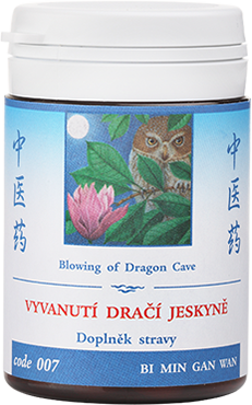 Blowing of Dragon Cave (code 007)