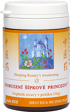 Sleeping Beauty’s Awakening (code 050)