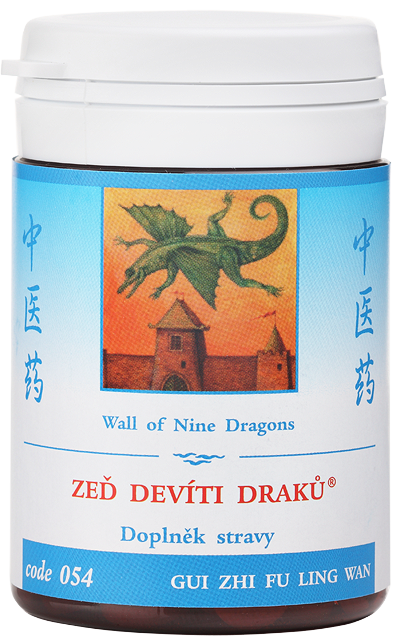 Wall of Nine Dragons (code 054)