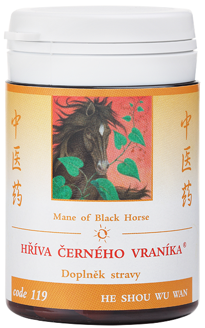 Mane of Black Horse (code 119)