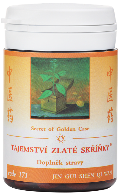 Secret of Golden Case (code 171)