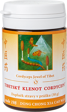 Cordyceps Jewel of Tibet (code 198)